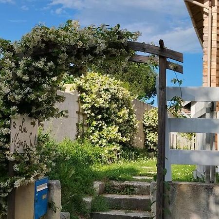 La Maison Du Saule Pompignac Eksteriør bilde